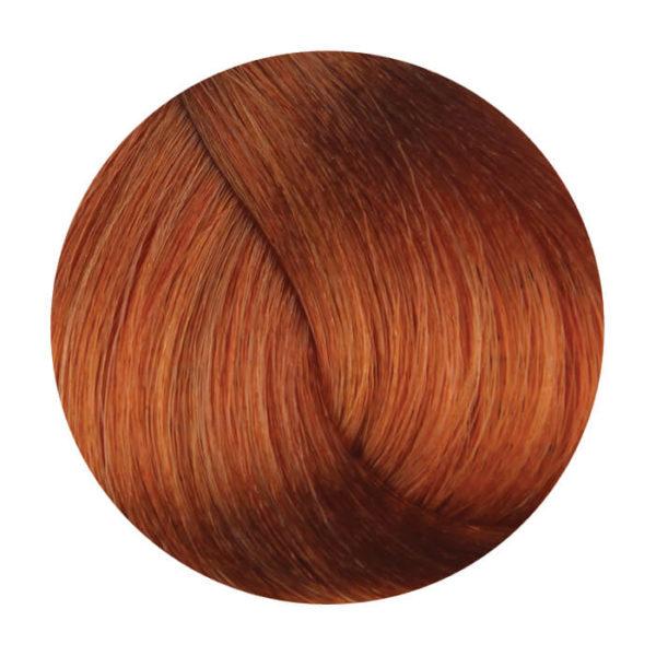 
	Fanola 8.43 Light Copper Golden Blonde 100g