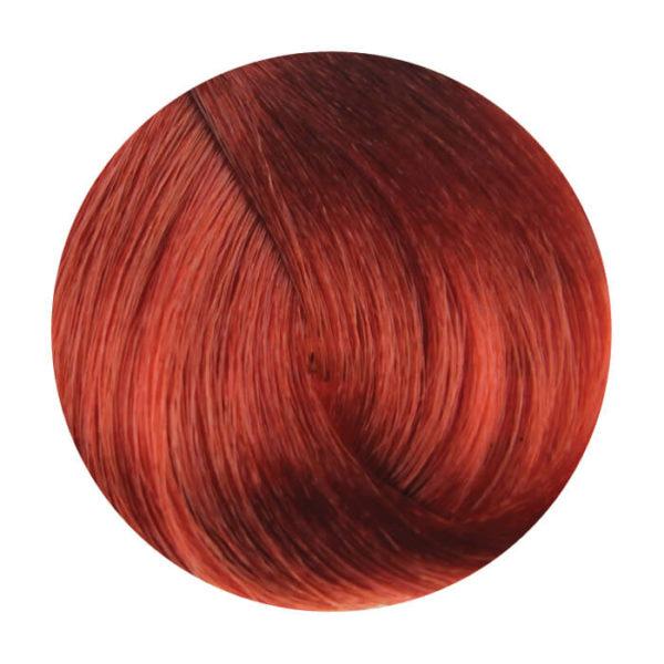 
	Fanola 6.46 Dark Copper Red Blonde 100g